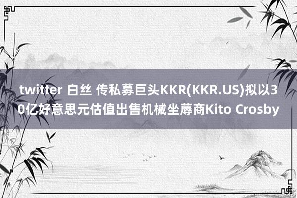 twitter 白丝 传私募巨头KKR(KKR.US)拟以30亿好意思元估值出售机械坐蓐商Kito Crosby