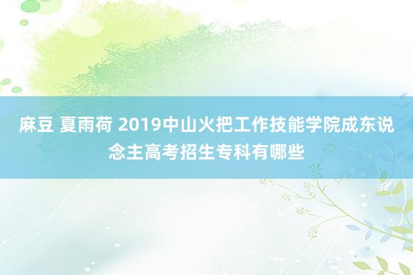 麻豆 夏雨荷 2019中山火把工作技能学院成东说念主高考招生专科有哪些