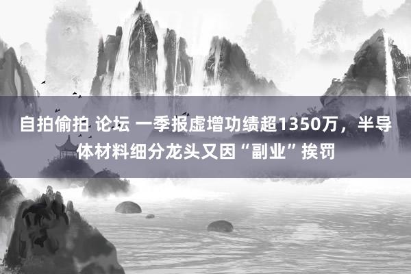 自拍偷拍 论坛 一季报虚增功绩超1350万，半导体材料细分龙头又因“副业”挨罚