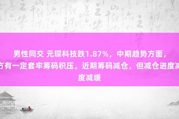 男性同交 元琛科技跌1.87%，中期趋势方面，上方有一定套牢筹码积压。近期筹码减仓，但减仓进度减缓