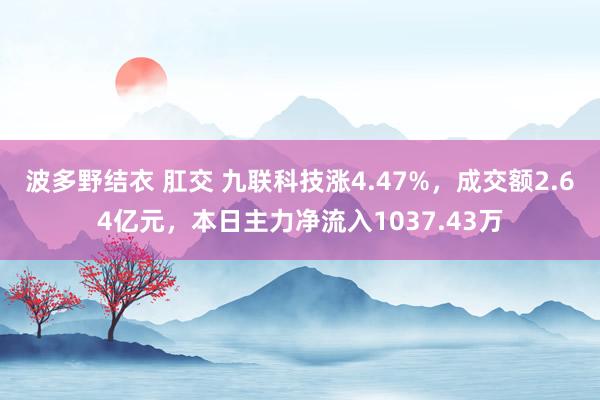 波多野结衣 肛交 九联科技涨4.47%，成交额2.64亿元，本日主力净流入1037.43万